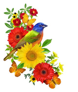 Memeler kuş parlak kırmızı gerbera çiçekleri, sarı gül, yeşil yaprakları, güzel kelebekler bir kolu üzerinde oturur. Beyaz arka plan üzerinde izole. Çiçek kompozisyon.
