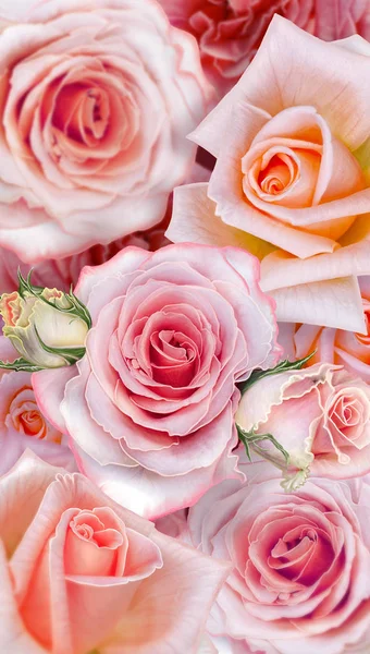 Vintage Zaproszenia Różowy Odcień Delikatny Róż Elementy Paisley Perła Koronki — Zdjęcie stockowe