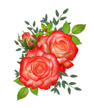 Çiçek kompozisyon. Parlak güzel kırmızı sarı gül buketi, yeşil yaprakları. Beyaz arka plan üzerinde izole.