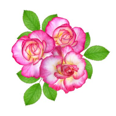 Çiçek kompozisyon. Parlak güzel kırmızı sarı gül buketi, yeşil yaprakları. Beyaz arka plan üzerinde izole.