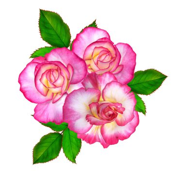 Çiçek kompozisyon. Parlak güzel kırmızı sarı gül buketi, yeşil yaprakları. Beyaz arka plan üzerinde izole.