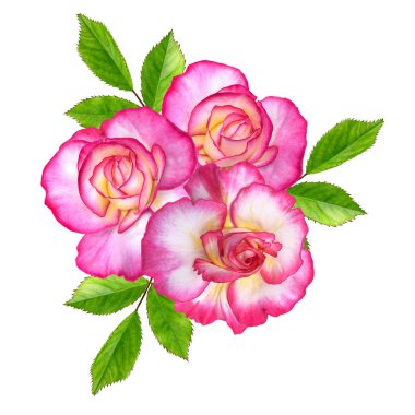 Çiçek kompozisyon. Parlak güzel kırmızı sarı gül buketi, yeşil yaprakları. Beyaz arka plan üzerinde izole.