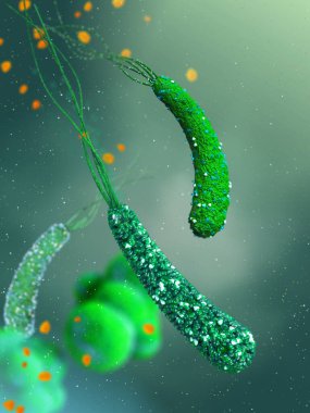 Tehlikeli patojenik bakteriler Helicobacter pillori, mide enfeksiyonunun patojeni, tıbbi soyut arka plan, konsept, 3D görüntüleme