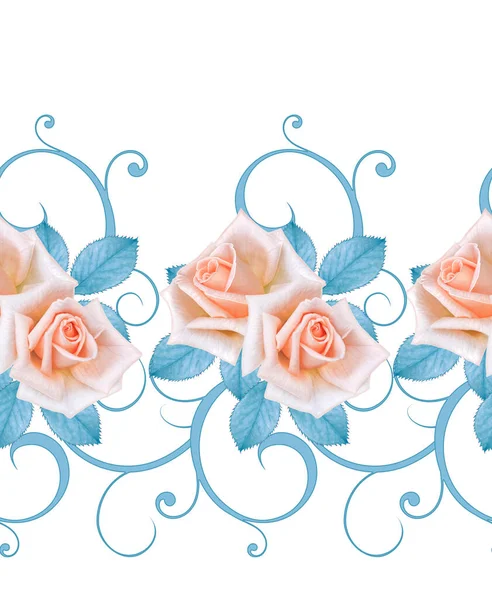 Zarte Schöne Rosa Lila Rosen Blaues Pastellfarbenes Laub Trauben Von — Stockfoto