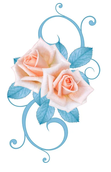Elicate Rosa Bonito Rosas Lilás Folhagem Pastel Azul Cachos Bagas — Fotografia de Stock