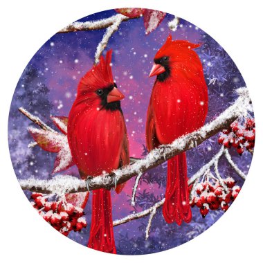 Kış Noel arkaplanı, kırmızı kardinal kuşu karlı dallara, böğürtlenlere, karda yapraklara, akşam aydınlatmasına, yuvarlak şekle oturur..