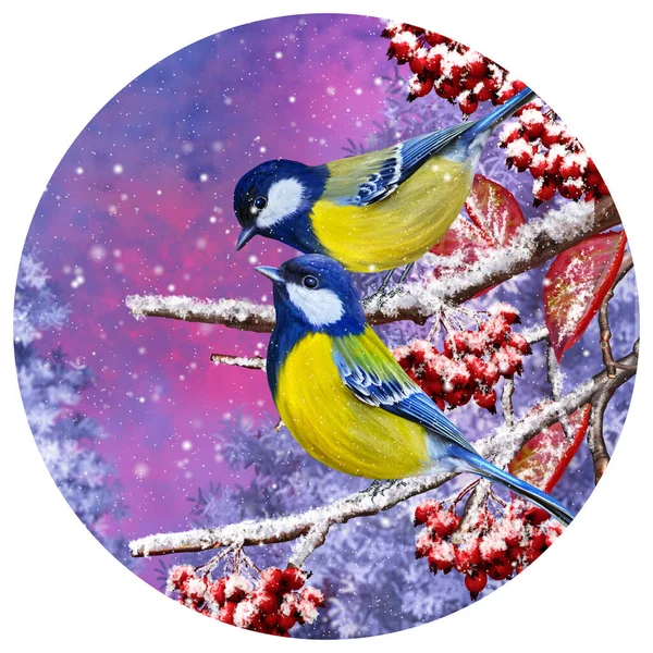 Christmas Winter Background Small Bird Tit Sits Snowy Branch Berries — Foto Stock