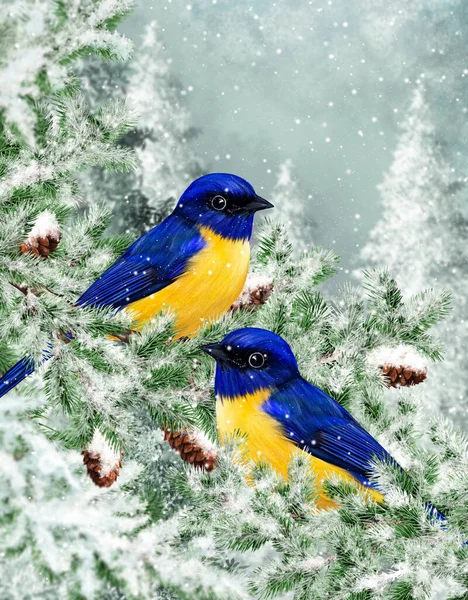 Зимовий Різдвяний Фон Дві Маленькі Синьо Жовті Птахи Сидять Засніжених — стокове фото