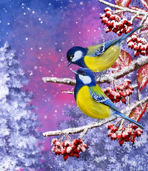 Christmas Winter Background Small Bird Tit Sits Snowy Branch Berries — Stockfoto