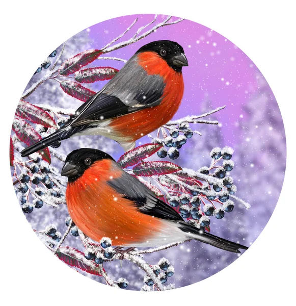 Χριστουγεννιάτικο Φόντο Χειμώνα Κόκκινο Bullfinch Πουλί Κάθεται Ένα Χιονισμένο Υποκατάστημα — Φωτογραφία Αρχείου