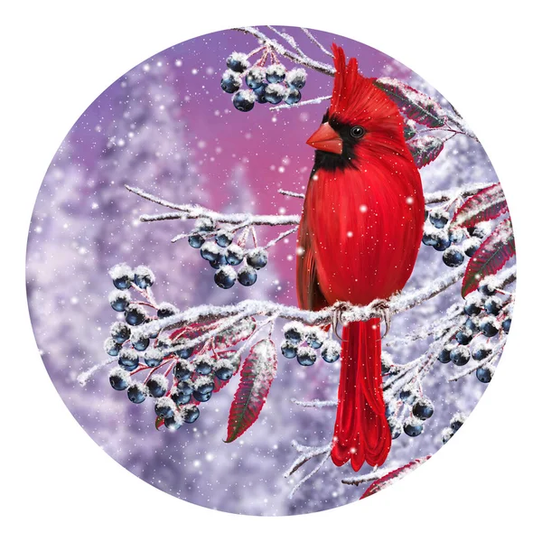 Зимовий Різдвяний Фон Червоний Кардинал Птах Сидить Засніжених Гілках Ягодах — стокове фото