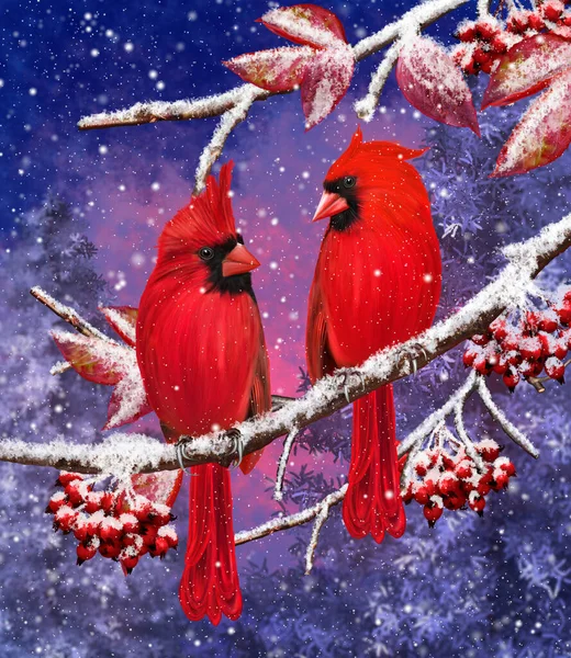 Fondo Navidad Invierno Pájaro Cardenal Rojo Sienta Ramas Nevadas Bayas —  Fotos de Stock