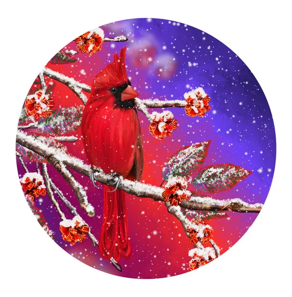 Fondo Navidad Invierno Pájaro Cardenal Rojo Sienta Ramas Nevadas Bayas — Foto de Stock