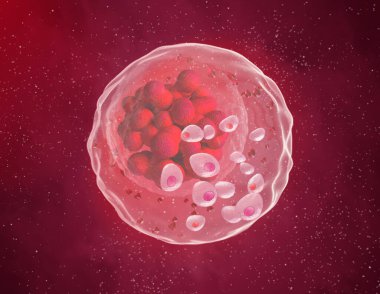 Tıbbi soyut arkaplan, bölünme sürecindeki mikroskobik hücreler plazma, embriyo, mikrop, bakteri, üç boyutlu görüntüleme içinde yüzerler.