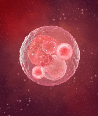 Tıbbi soyut arkaplan, bölünme sürecindeki mikroskobik hücreler plazma içinde yüzer, üç boyutlu görüntüleme