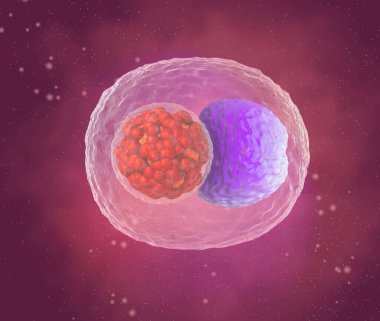 Soyut tıbbi geçmiş, mikroskop altında mikroskop altında bulunan klamidya bakterisi.