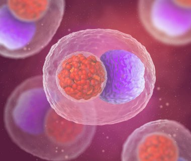 Soyut tıbbi geçmiş, mikroskop altında mikroskop altında bulunan klamidya bakterisi.