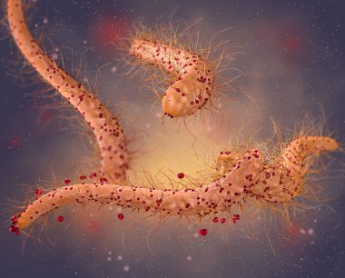 Tehlikeli patojenik bakteriler, Escherichia coli, kolibacillus, mide enfeksiyonu patojeni, tıbbi soyut geçmiş, konsept, 3 boyutlu görüntüleme