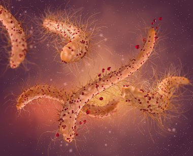 Tehlikeli patojenik bakteriler, Escherichia coli, kolibacillus, mide enfeksiyonu patojeni, tıbbi soyut geçmiş, konsept, 3 boyutlu görüntüleme