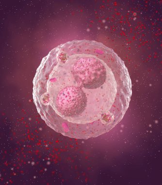 Tıbbi soyut arkaplan, bölünme sürecindeki mikroskobik hücreler plazma içinde yüzer, üç boyutlu görüntüleme