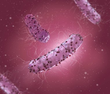 Tehlikeli patojenik bakteriler, Escherichia coli, kolibacillus, mide enfeksiyonu patojeni, tıbbi soyut geçmiş, konsept, 3 boyutlu görüntüleme