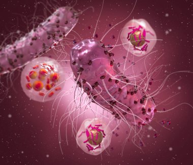 Tehlikeli patojenik bakteriler, Escherichia coli, kolibacillus, mide enfeksiyonu patojeni, tıbbi soyut geçmiş, konsept, 3 boyutlu görüntüleme