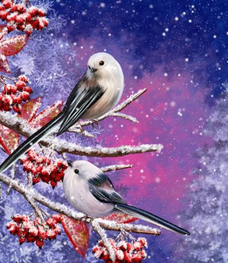 Winter Christmas background, two white little tit birds sit on a snowy branch, snowfall, clusters of berries, evening lighting.