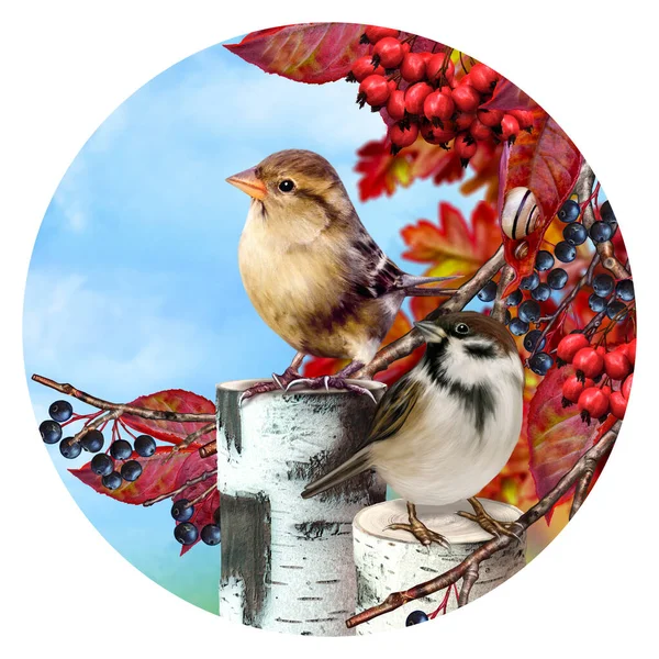 가을을 배경으로 마리의 참새가 나무에 빨강과 렌더링 — 스톡 사진