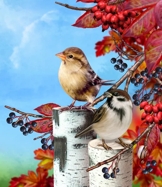 Herbst Hintergrund Zwei Spatzenvögel Sitzen Auf Einem Baum Helles Laub — Stockfoto