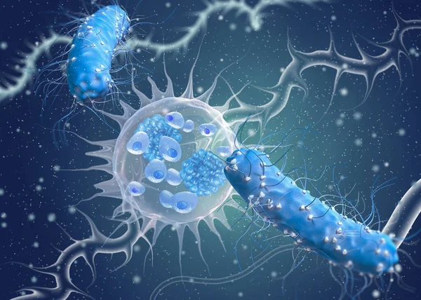 Tıbbi soyut arkaplan, bölünme sürecindeki mikroskobik hücreler plazma, embriyo, mikrop, bakteri Helicobacter pillori, 3D görüntüleme