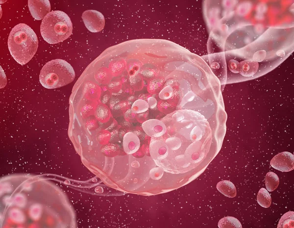 Antecedentes Médicos Abstratos Células Microscópicas Processo Divisão Flutuam Plasma Embrião — Fotografia de Stock