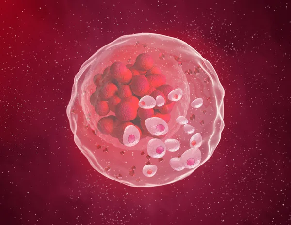 Lékařské Abstraktní Zázemí Mikroskopické Buňky Procesu Dělení Plují Plazmě Embryo — Stock fotografie