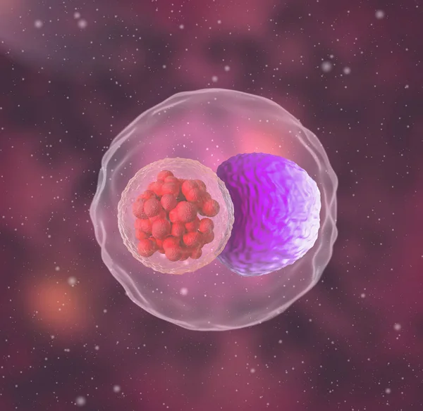 Soyut tıbbi geçmiş, mikroskop altında mikroskop altında bulunan klamidya bakterisi.