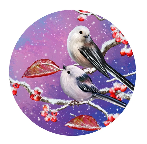 Inverno Fundo Natal Dois Pequenos Pássaros Brancos Tit Sentar Ramo — Fotografia de Stock