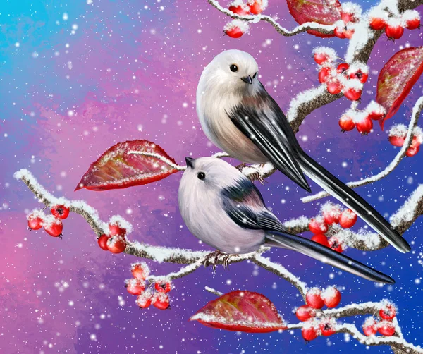 Winter Christmas Background Two White Little Tit Birds Sit Snowy — Stock Photo, Image