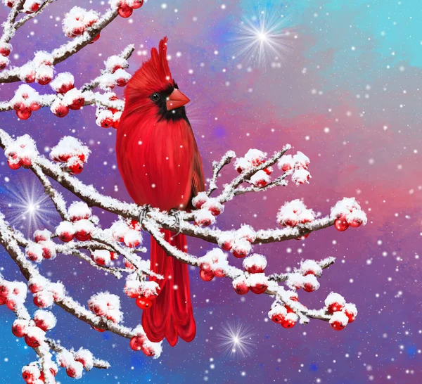 Winter Weihnachten Hintergrund Roter Kardinalvogel Sitzt Auf Verschneiten Zweigen Beeren — Stockfoto