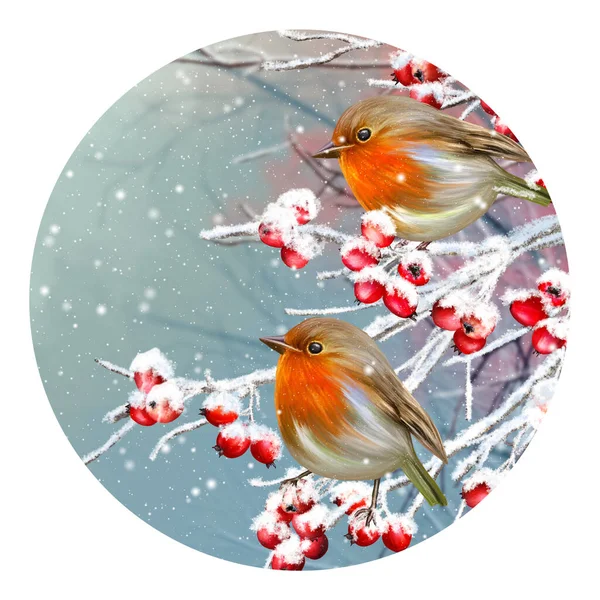 Winter Christmas Background Two Yellow Little Tit Birds Sit Snowy — Foto Stock