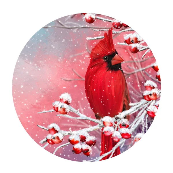 Fundo Natal Inverno Pássaro Cardeal Vermelho Senta Ramos Nevados Bagas — Fotografia de Stock