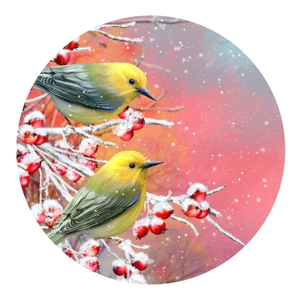 Winter Christmas Background Two Yellow Little Tit Birds Sit Snowy — Stock Photo, Image