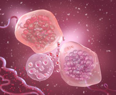Tıbbi soyut arkaplan, bölünme sürecindeki mikroskobik hücreler plazma, embriyo, mikrop, üç boyutlu görüntüleme içinde yüzerler.