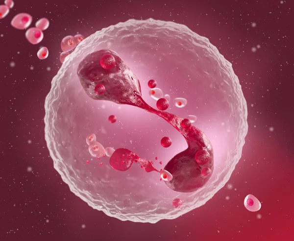 Медицинский Абстрактный Фон Микроскопические Клетки Процессе Деления Плавают Плазме Эмбрионе — стоковое фото