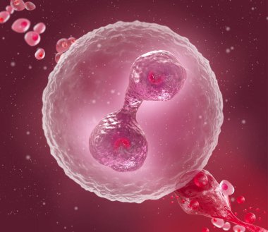 Tıbbi soyut arkaplan, bölünme sürecindeki mikroskobik hücreler plazma, embriyo, mikrop, üç boyutlu görüntüleme içinde yüzerler.
