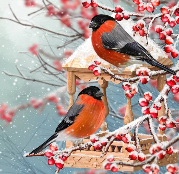 Winter Christmas Background Two Tits Sit Snow Covered Branch Wooden — стоковое фото