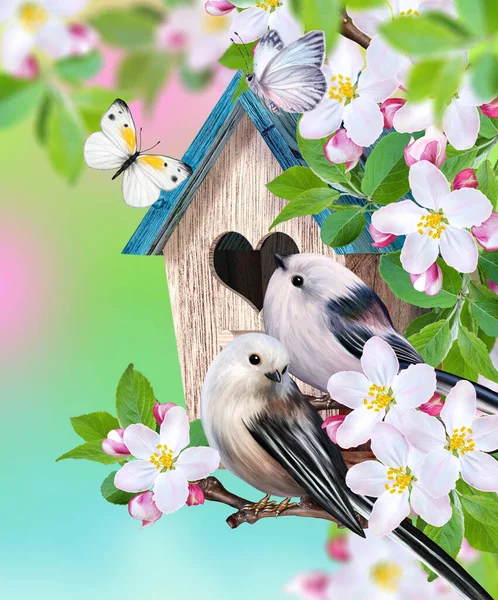 Bird Titmouse Sits Branch Blossoming Apple Tree Birdhouse White Spring — Stock Photo, Image