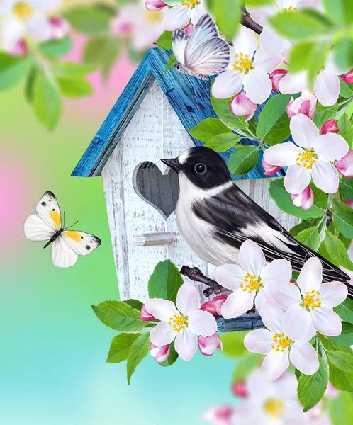 Vogelmeise Sitzt Auf Einem Zweig Eines Blühenden Apfelbaums Vogelhaus Weiße — Stockfoto