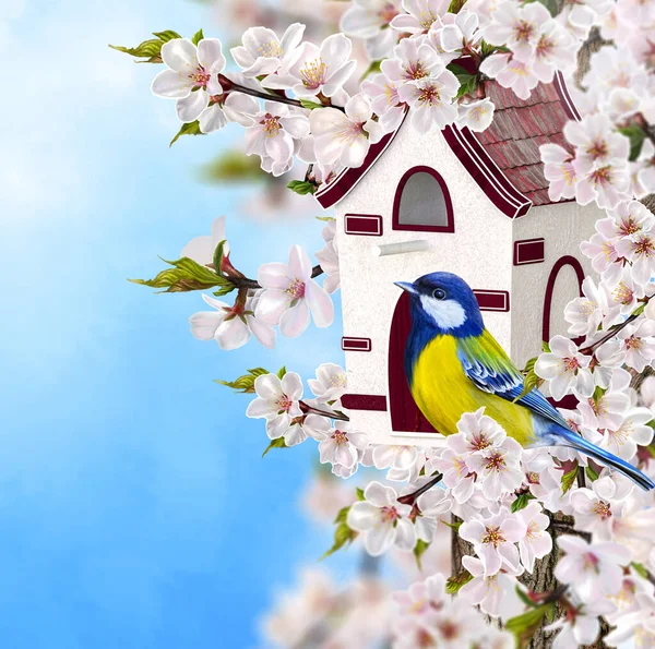 Topo Uccello Siede Ramo Ciliegia Fiore Birdhouse Fiori Bianchi Primaverili — Foto Stock