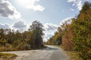 Ağaçların yanındaki asfalt yolda. Kırsal Avrupa 'da bir viraj yolu