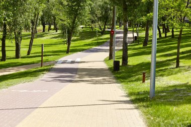 Avrupa, Kyiv 'de ağaçlar ve çimlerle çevrili bir yürüyüş yolu. Şehir parkında dinlenme yeri