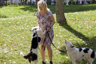 Sahibi sonbahar parkında Sibirya laika köpeğiyle yürüyor. Bir köpekle bir kadının arkadaşlığı.