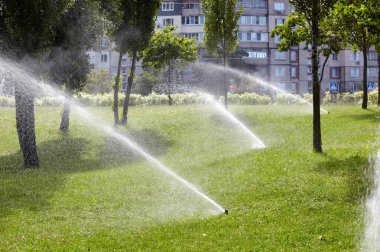 Çimlerin sulanması ve bakımı, sonbahar parkında bahçe bakımı için otomatik ekipman. Bahçe sulama sistemi çimenleri suluyor